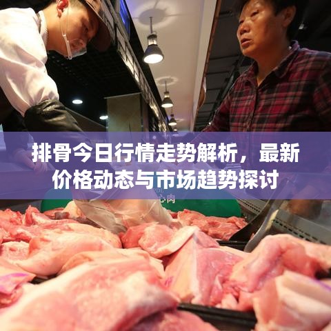 排骨今日行情走勢解析,最新價格動態與市場趨勢探討