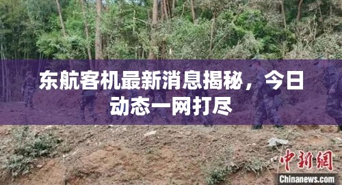 東航客機(jī)最新消息揭秘，今日動(dòng)態(tài)一網(wǎng)打盡