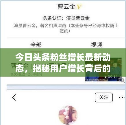 今日頭條粉絲增長最新動態,揭秘用戶增長背后的秘密!