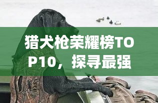 獵犬槍榮耀榜TOP10,探尋最強(qiáng)武器的震撼排名!