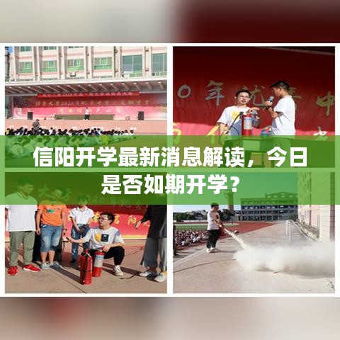 信陽開學最新消息解讀,今日是否如期開學?
