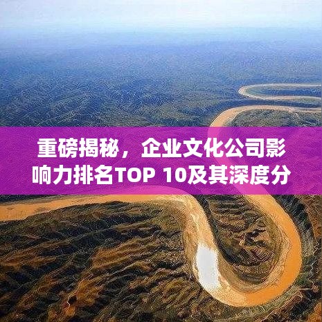 重磅揭秘,企業(yè)文化公司影響力排名TOP 10及其深度分析