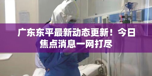 廣東東平最新動態(tài)更新!今日焦點(diǎn)消息一網(wǎng)打盡