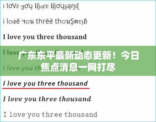 廣東東平最新動態更新!今日焦點消息一網打盡