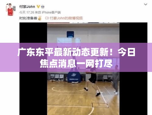 廣東東平最新動態更新!今日焦點消息一網打盡