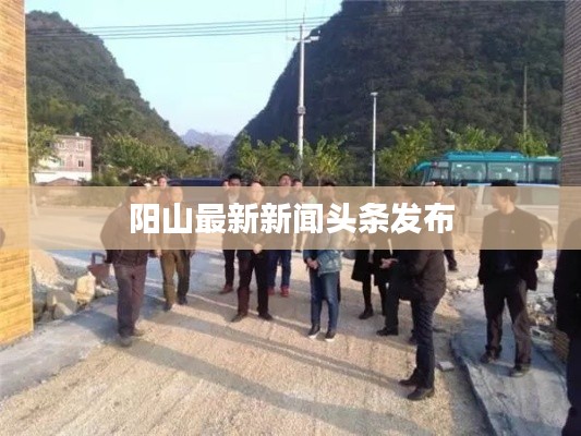 陽山最新新聞頭條發布