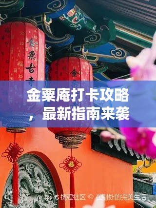 金粟庵打卡攻略，最新指南來襲！