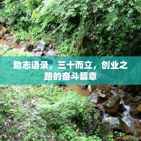 勵志語錄,三十而立,創業之路的奮斗篇章
