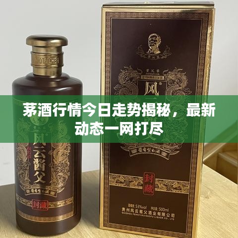 茅酒行情今日走勢揭秘,最新動態(tài)一網(wǎng)打盡