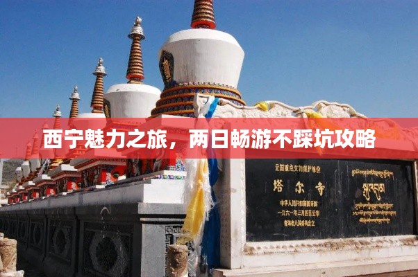 西寧魅力之旅,兩日暢游不踩坑攻略