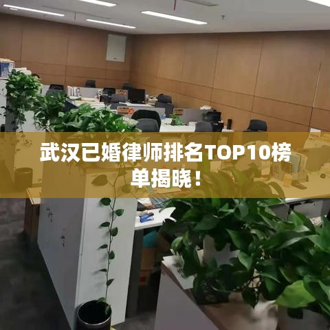 武漢已婚律師排名TOP10榜單揭曉!