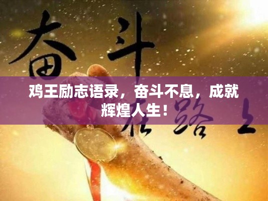 雞王勵志語錄,奮斗不息,成就輝煌人生!