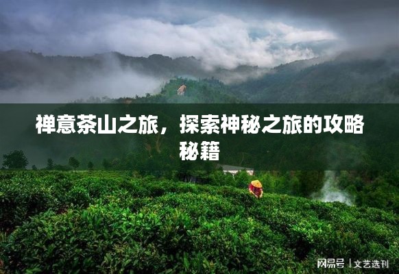 禪意茶山之旅,探索神秘之旅的攻略秘籍