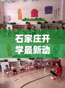 石家莊開學最新動態,今日開學情況一覽