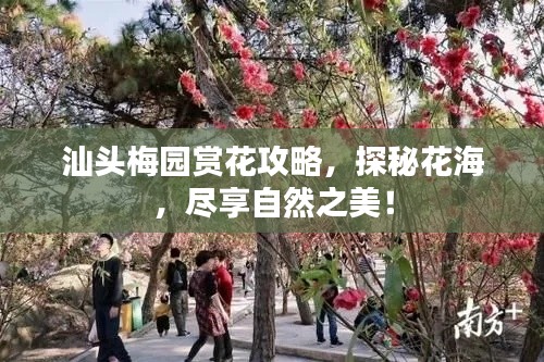 汕頭梅園賞花攻略，探秘花海，盡享自然之美！