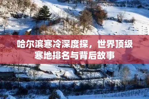 哈爾濱寒冷深度探,世界頂級寒地排名與背后故事