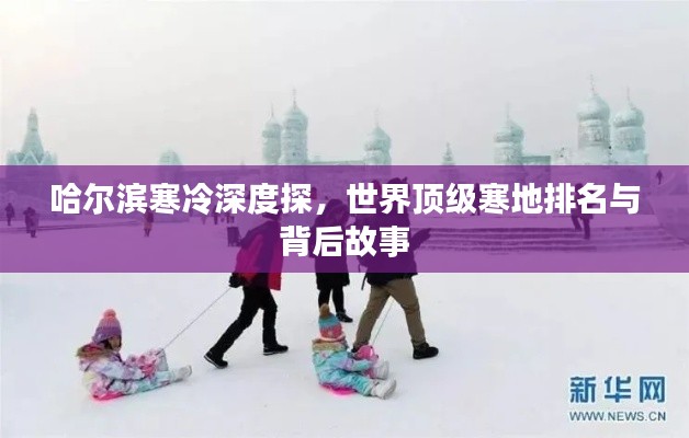 哈爾濱寒冷深度探,世界頂級寒地排名與背后故事
