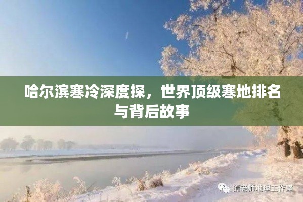 哈爾濱寒冷深度探,世界頂級寒地排名與背后故事