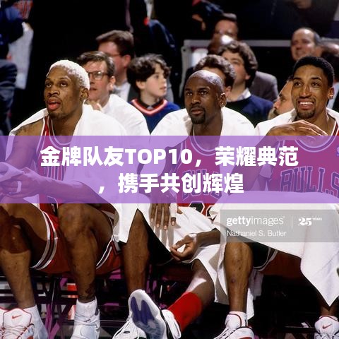 金牌隊友TOP10,榮耀典范,攜手共創(chuàng)輝煌