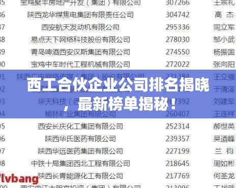 西工合伙企業(yè)公司排名揭曉,最新榜單揭秘!