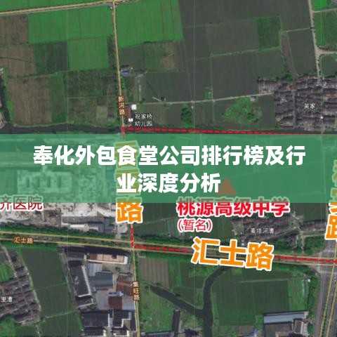 奉化外包食堂公司排行榜及行業深度分析