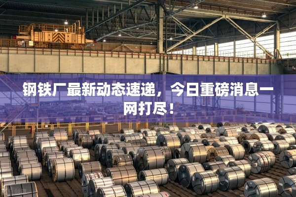 鋼鐵廠最新動態速遞，今日重磅消息一網打盡！