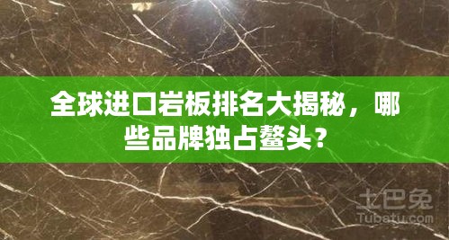 全球進口巖板排名大揭秘,哪些品牌獨占鰲頭?