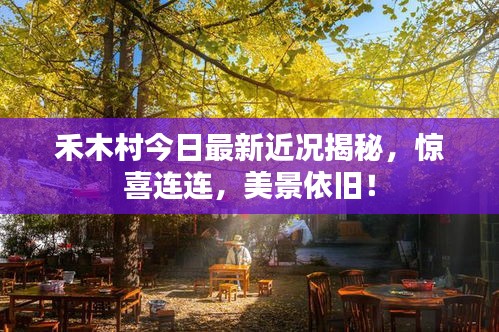 禾木村今日最新近況揭秘,驚喜連連,美景依舊!