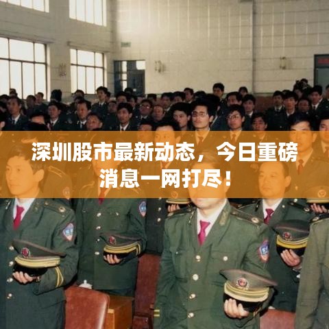 深圳股市最新動態,今日重磅消息一網打盡!