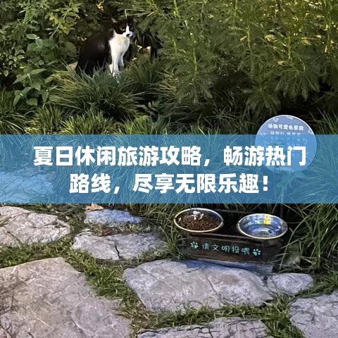 夏日休閑旅游攻略，暢游熱門路線，盡享無限樂趣！