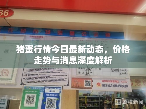豬蛋行情今日最新動態，價格走勢與消息深度解析