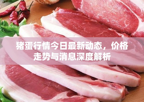 豬蛋行情今日最新動態,價格走勢與消息深度解析