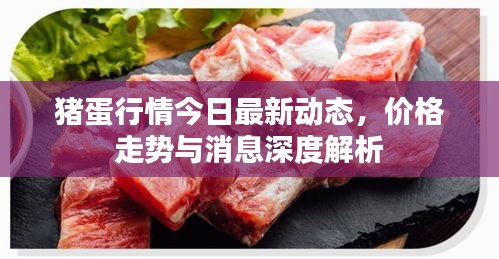 豬蛋行情今日最新動態,價格走勢與消息深度解析