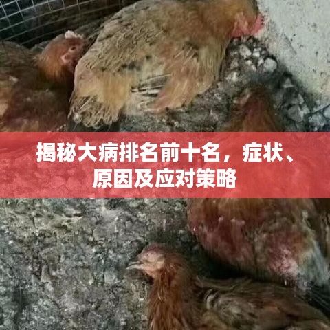 揭秘大病排名前十名,癥狀、原因及應(yīng)對(duì)策略