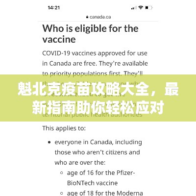 魁北克疫苗攻略大全,最新指南助你輕松應對