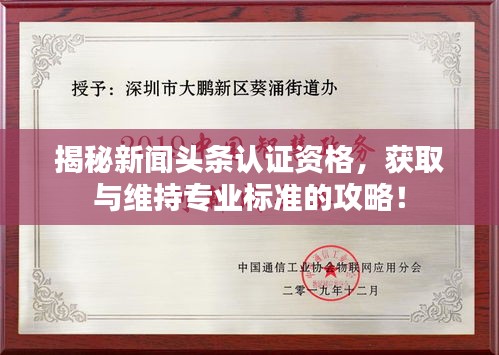 揭秘新聞?lì)^條認(rèn)證資格，獲取與維持專業(yè)標(biāo)準(zhǔn)的攻略！
