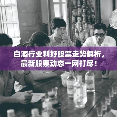 白酒行業(yè)利好股票走勢(shì)解析,最新股票動(dòng)態(tài)一網(wǎng)打盡!