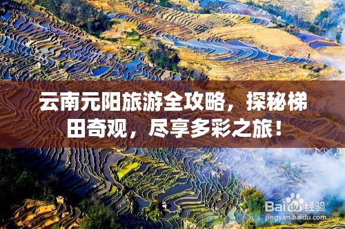 云南元陽(yáng)旅游全攻略,探秘梯田奇觀(guān),盡享多彩之旅!