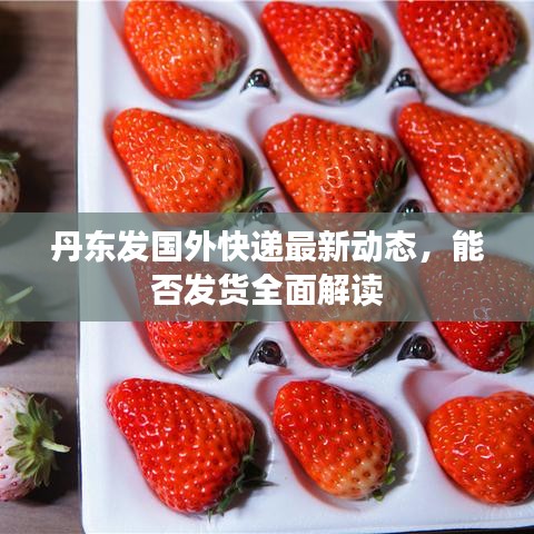 丹東發(fā)國外快遞最新動態(tài),能否發(fā)貨全面解讀