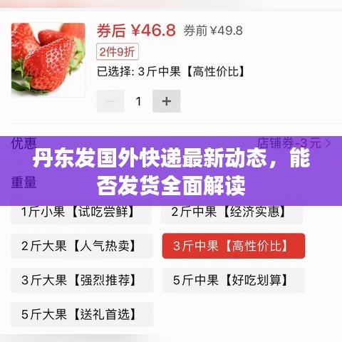 丹東發(fā)國外快遞最新動態(tài),能否發(fā)貨全面解讀