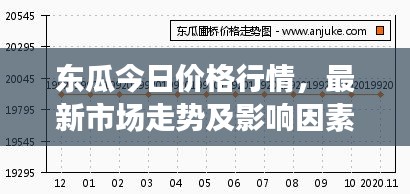東瓜今日價格行情，最新市場走勢及影響因素深度解析