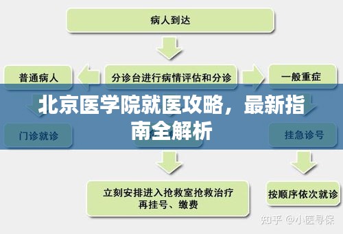 北京醫學院就醫攻略，最新指南全解析