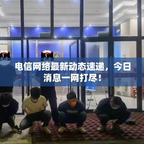 電信網絡最新動態速遞，今日消息一網打盡！