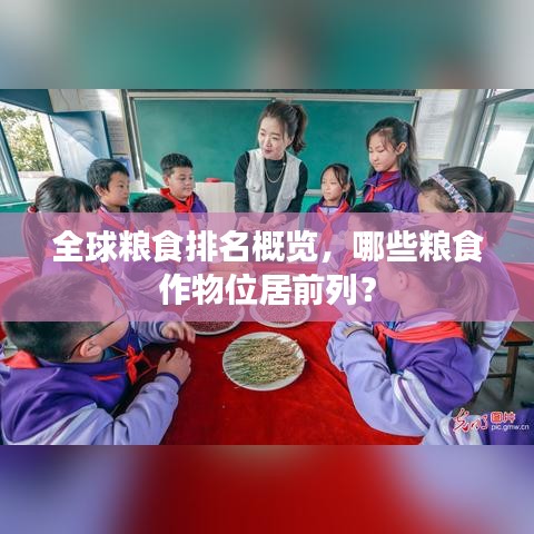 全球糧食排名概覽，哪些糧食作物位居前列？