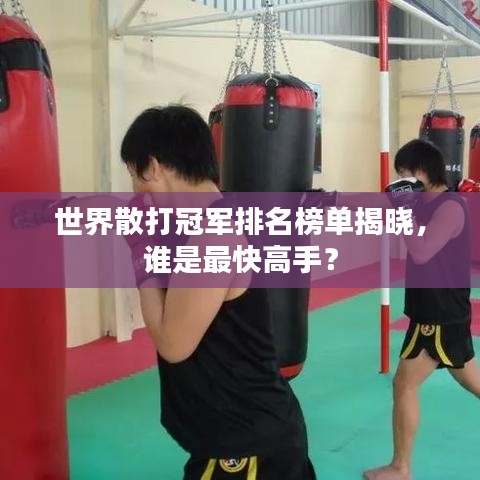 世界散打冠軍排名榜單揭曉，誰是最快高手？