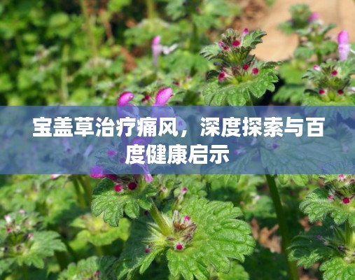 寶蓋草治療痛風,深度探索與百度健康啟示