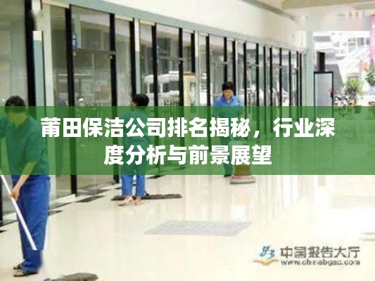 莆田保潔公司排名揭秘,行業深度分析與前景展望