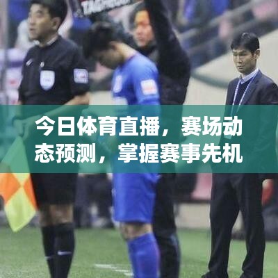 今日體育直播，賽場(chǎng)動(dòng)態(tài)預(yù)測(cè)，掌握賽事先機(jī)最新消息
