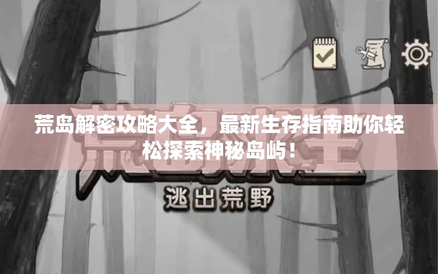 荒島解密攻略大全,最新生存指南助你輕松探索神秘島嶼!