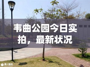 韋曲公園今日實拍，最新狀況全解析